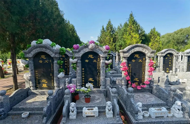 ѡ԰ĹҪעЩʲôɣ