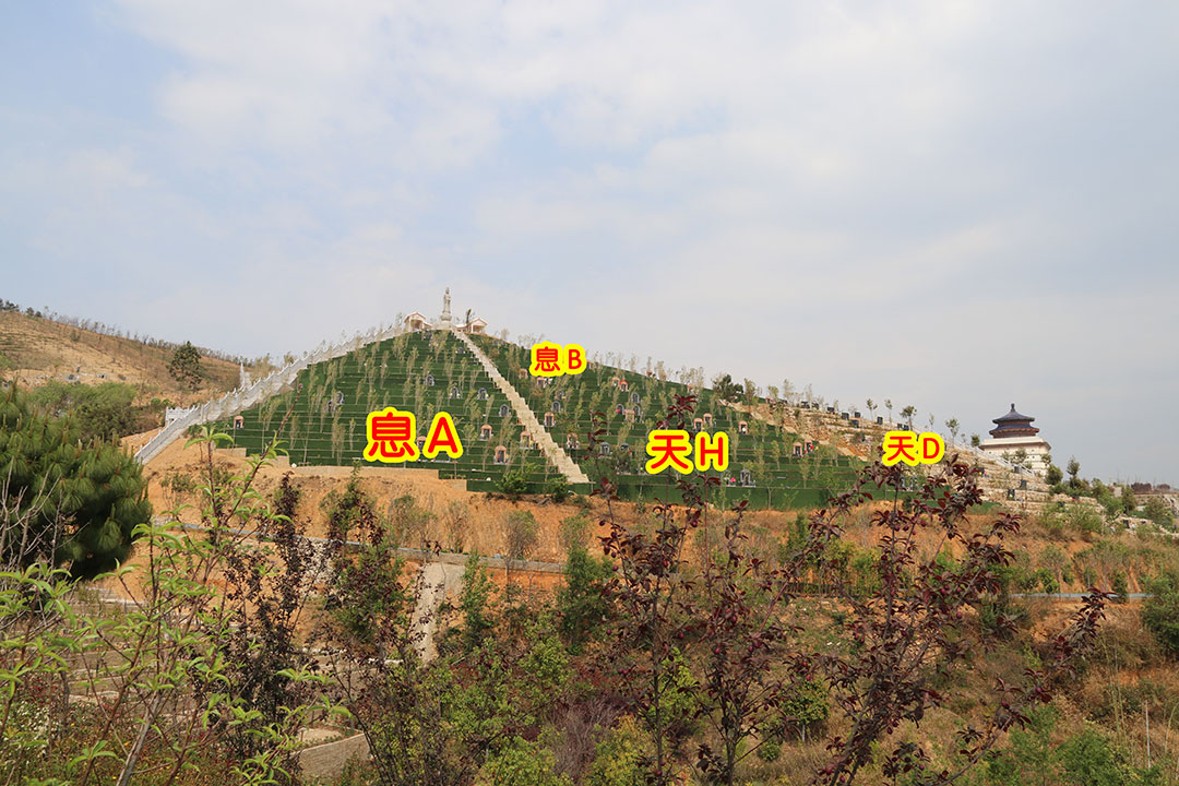 ϢԷA2Aβ濴Ͽ